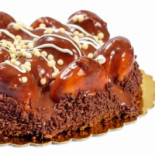 Zoomserie Delfinului Nourriture