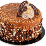 Zoomserie Delfinului Nourriture