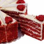 Zoomserie Delfinului Nourriture