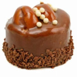 Zoomserie Delfinului Nourriture