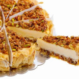 Zoomserie Delfinului Nourriture