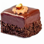 Zoomserie Delfinului Nourriture