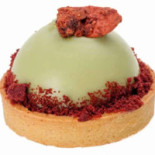 Zoomserie Delfinului Nourriture