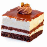 Zoomserie Delfinului Nourriture