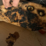 Story Pizza Băutură