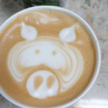 Daily Coffee Cup Băutură