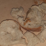 Koksal Băutură