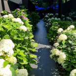 Beans&dots Specialty Coffee Shop Mare Extérieur