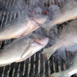 Terasa La Elvis Getränk