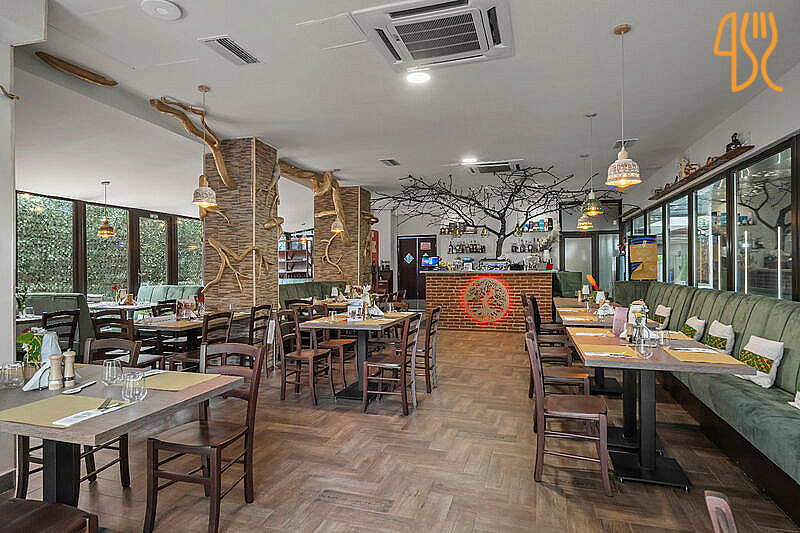 Rădăcini În interior