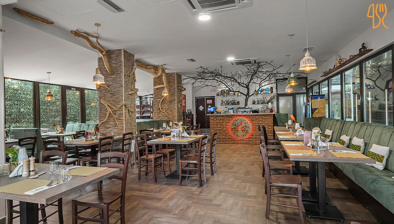 Rădăcini În interior