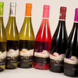 Romanian Wine Cellar Quality Boisson