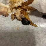 Turkish Kebab Kaya Bebida