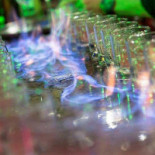 Exclusive Bartenders Băutură