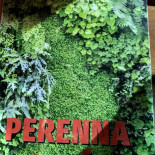 Terasa Meniu