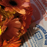Domino's Pizza Constantin Brâncoveanu Băutură
