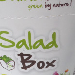 Salad Box Meniu