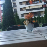 Vecchio Crp Băutură