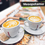 Mesopotamia Băutură