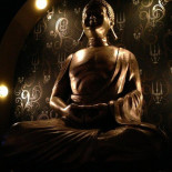 Buddha- Lounge Bebida