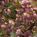 Sushihana Extérieur