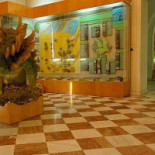 Elizeu În interior