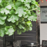 Hemingway Băutură