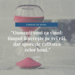Magazinul Tau De Vinuri Meniu