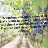 Magazinul Tau De Vinuri Băutură