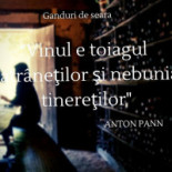 Magazinul Tau De Vinuri Băutură