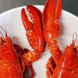 The Streetfood Lobster Mâncare