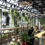 Greencup Café Exterior