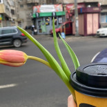 5 To Go Băutură