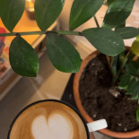 Am. Specialty Coffee Băutură