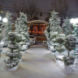 Classa Di T Extérieur