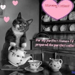 Mia Kat Cafeé Băutură
