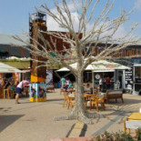 Food Court Exterior