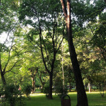 La Tramvai Exterior