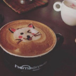 Hambar Bucharest Băutură