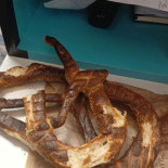 Sara Pretzel Mâncare