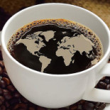 Neata, O Cafea Cu Ganoderma? Băutură