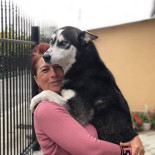 Yoko Yoko Băutură