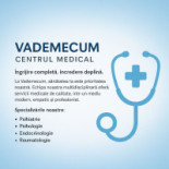 Vademecum S. R. L. Logo