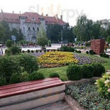 Peste Si Vin Extérieur