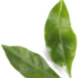 Cafea Fortuna Băutură