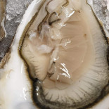 Le Vivier Nourriture