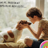 Kiddo Parklake Băutură