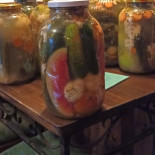 The Match Nourriture