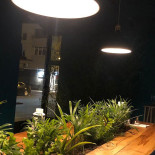 Plantology Space Băutură