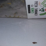 Cooperativa Frufru Băutură
